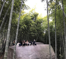 画像をギャラリービューアに読み込む, Modern Mystic RA MYSTERY SCHOOL 1 YEAR 2025